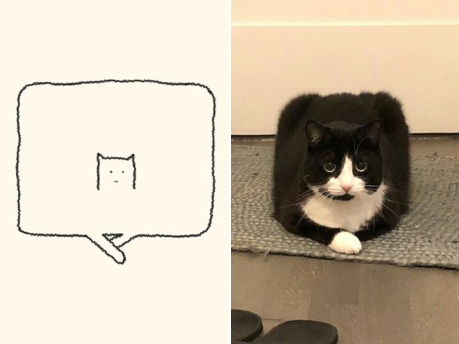 funny-cat-drawing10