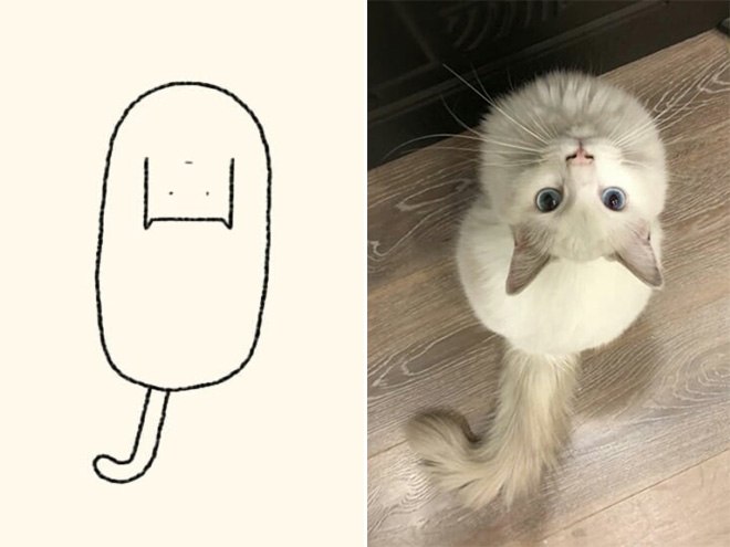 funny-cat-drawing12
