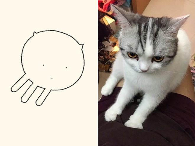 funny-cat-drawing13