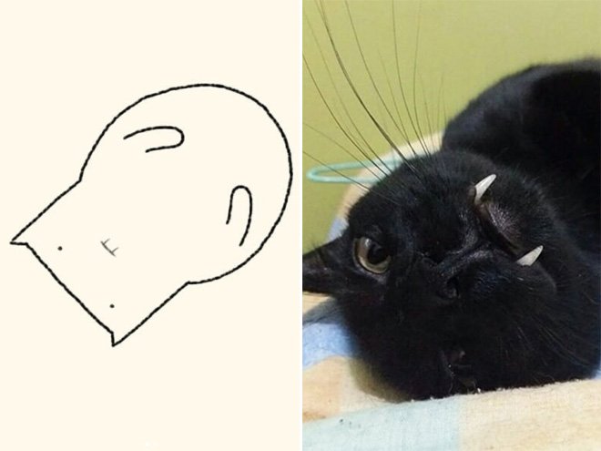 funny-cat-drawing14