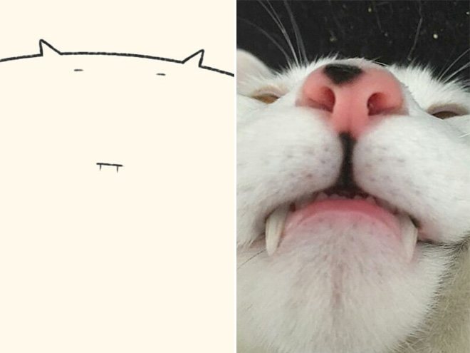 funny-cat-drawing15