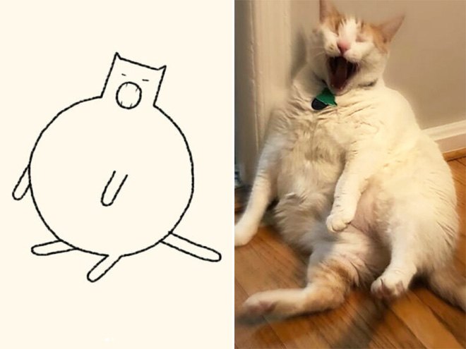funny-cat-drawing16