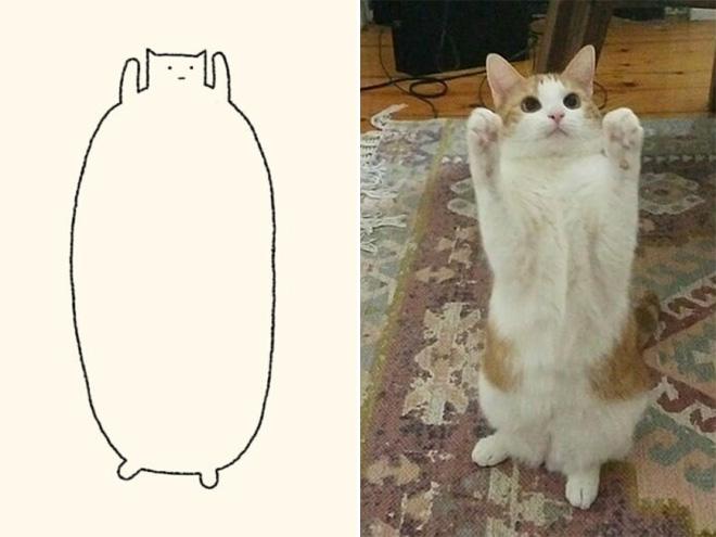 funny-cat-drawing17
