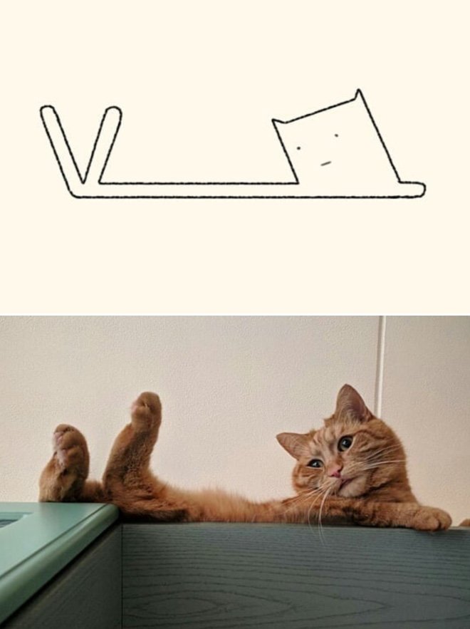 funny-cat-drawing18