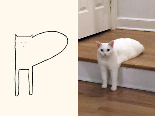 funny-cat-drawing3