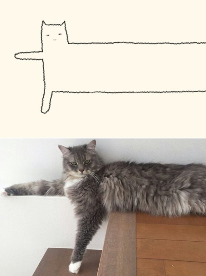 funny-cat-drawing4