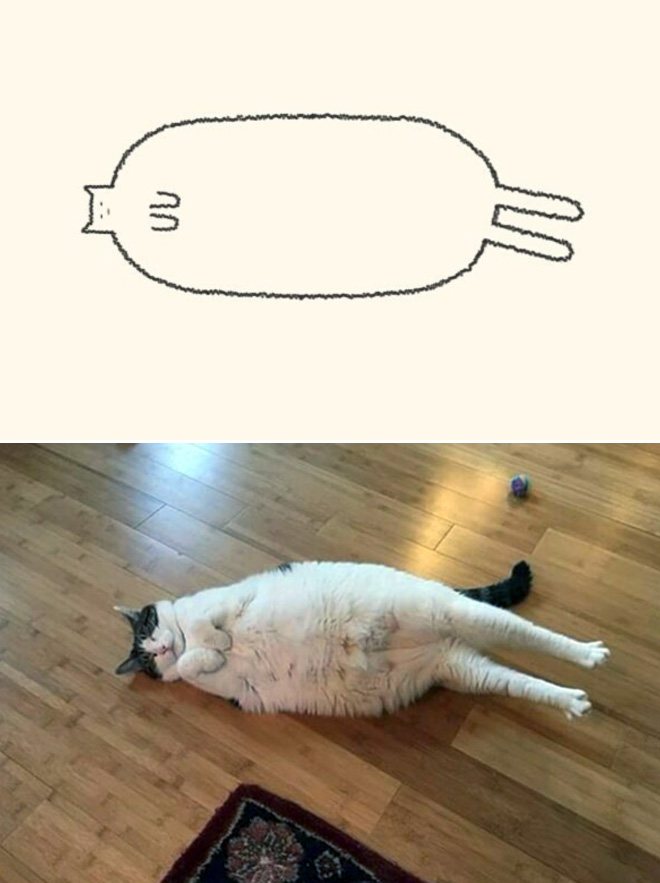 funny-cat-drawing5