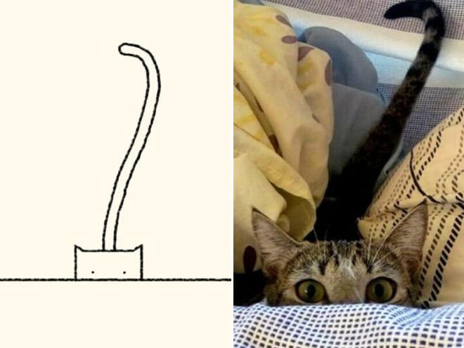 funny-cat-drawing6