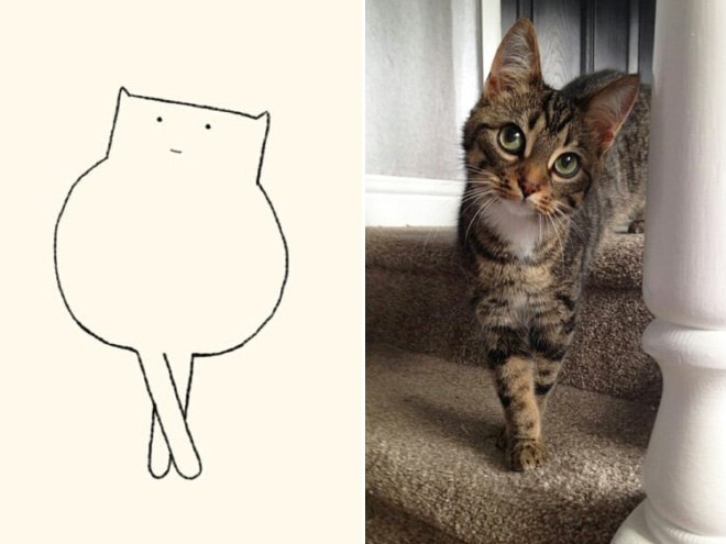funny-cat-drawing7