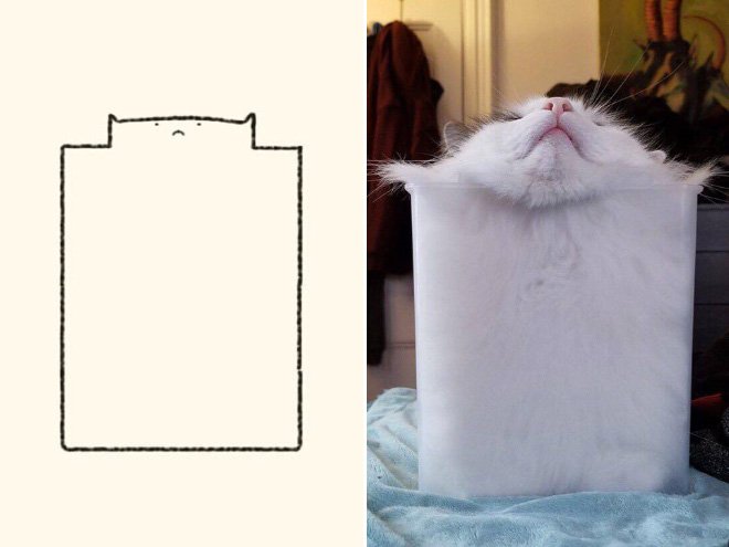 funny-cat-drawing8