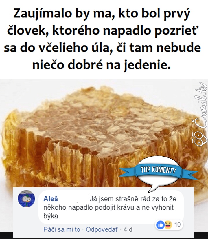 koment66