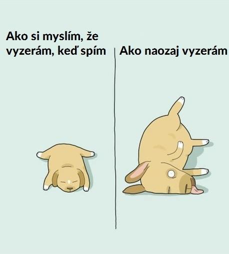 qwe (4)