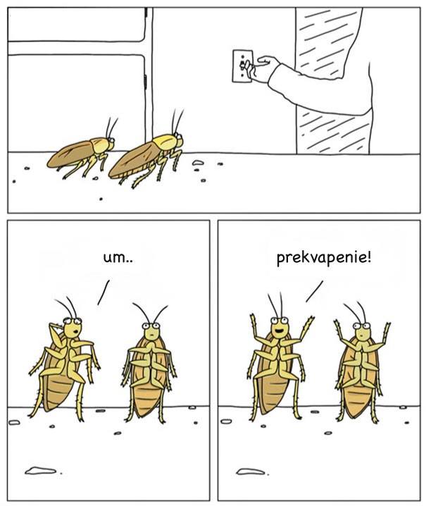 reew (2)