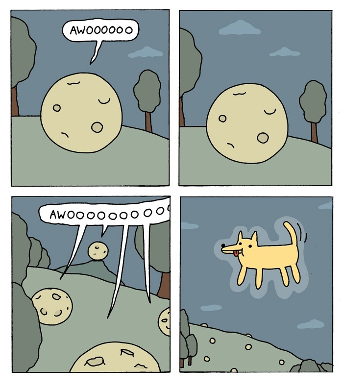 xx (4)