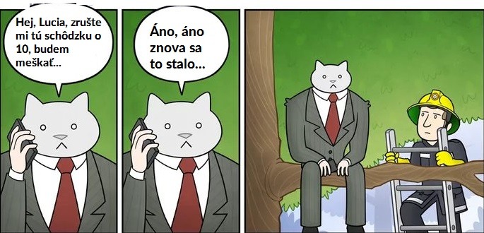 yy (5)