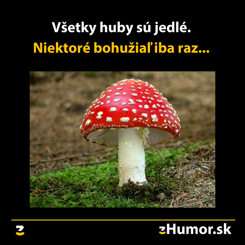 Hubárčina