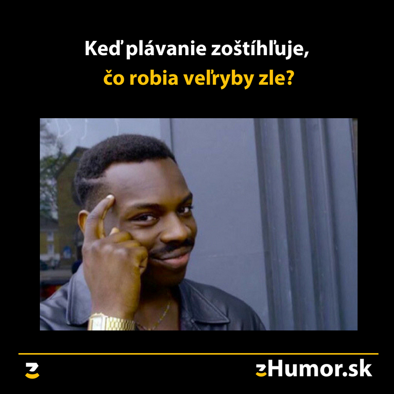 Úvaha jak prase
