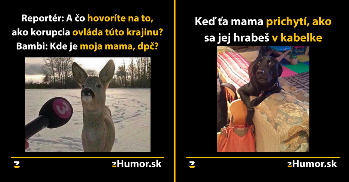 Zopár memečiek, ktoré vznikli aby ti spríjemnili dnešný deň #334