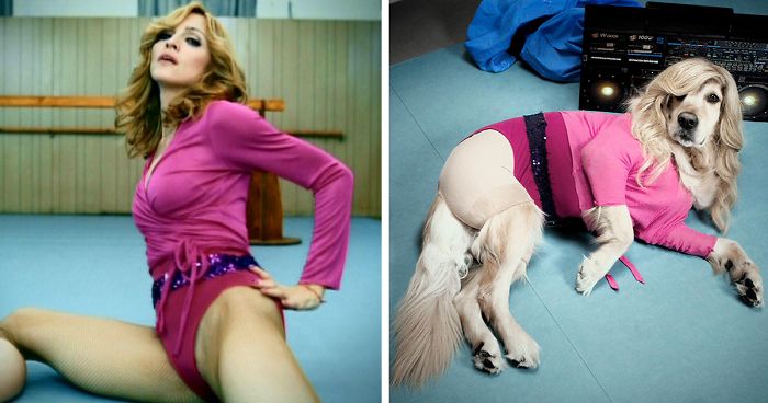 Tento pes prerába staré fotografie Madony a ide mu to dokonale (10+ Obrázkov)