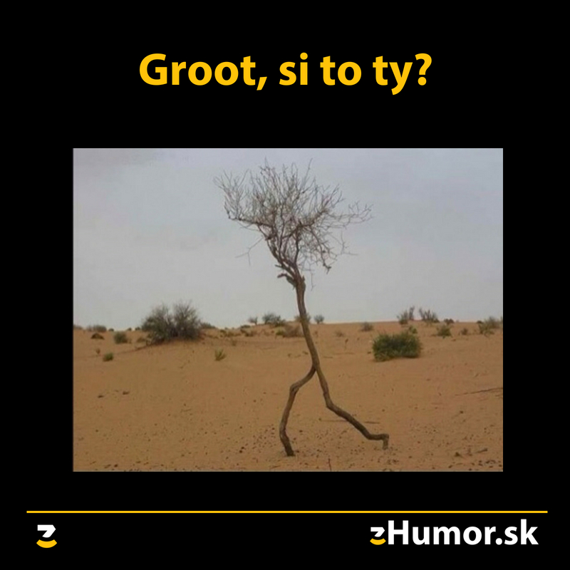 Skutočný Groot