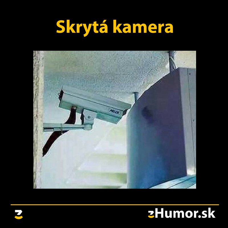 Skrytá kamera