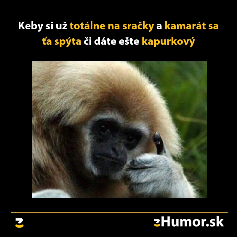 Jasné, nalej ešte kámo!