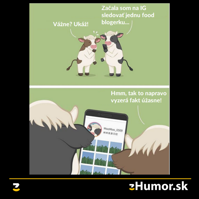 Správne instagramové kravičky