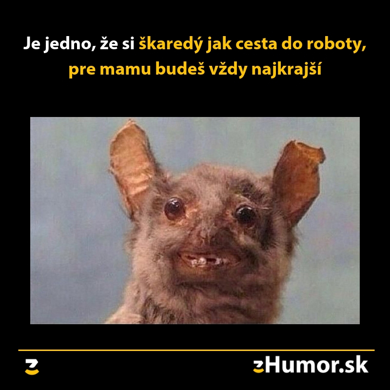 Škaraďák jeden
