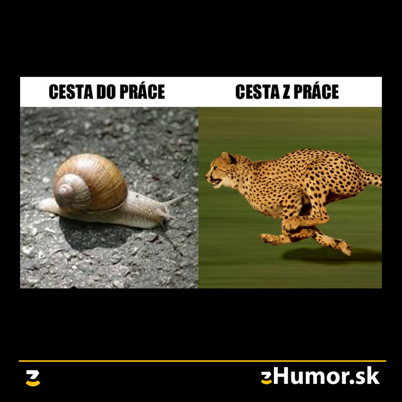 Rýchlejší než Usain Bolt