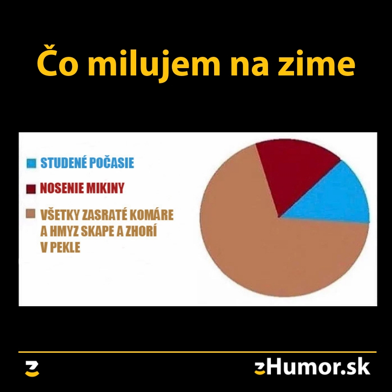 Prečo milujem zimu