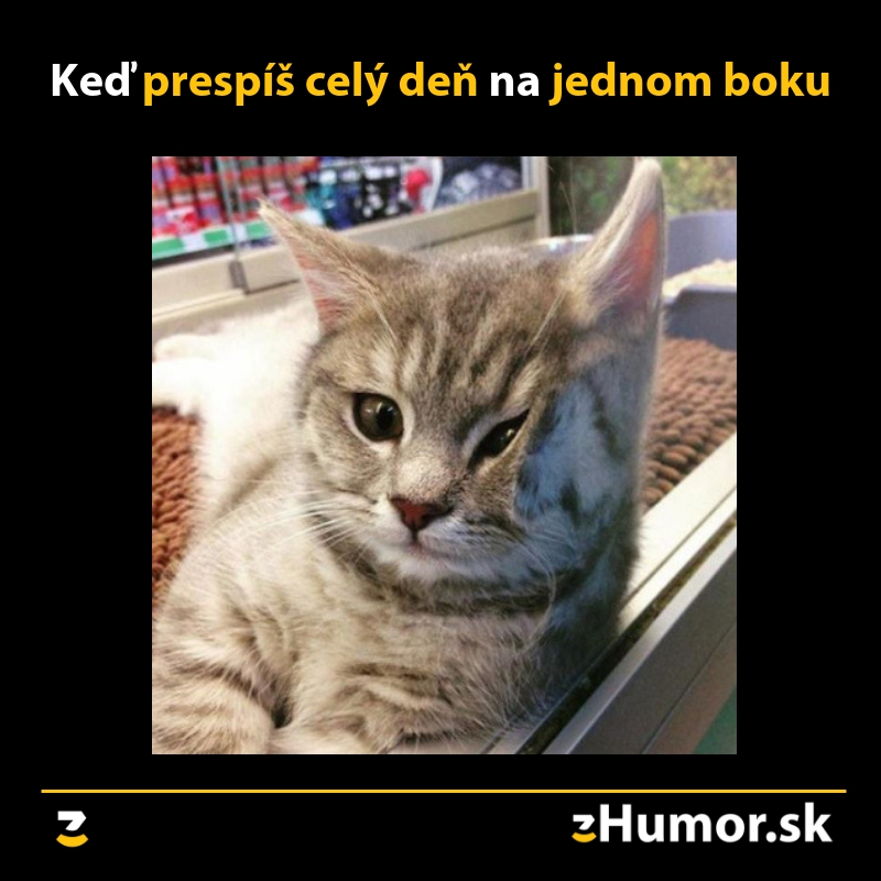 Lenivec lenivý