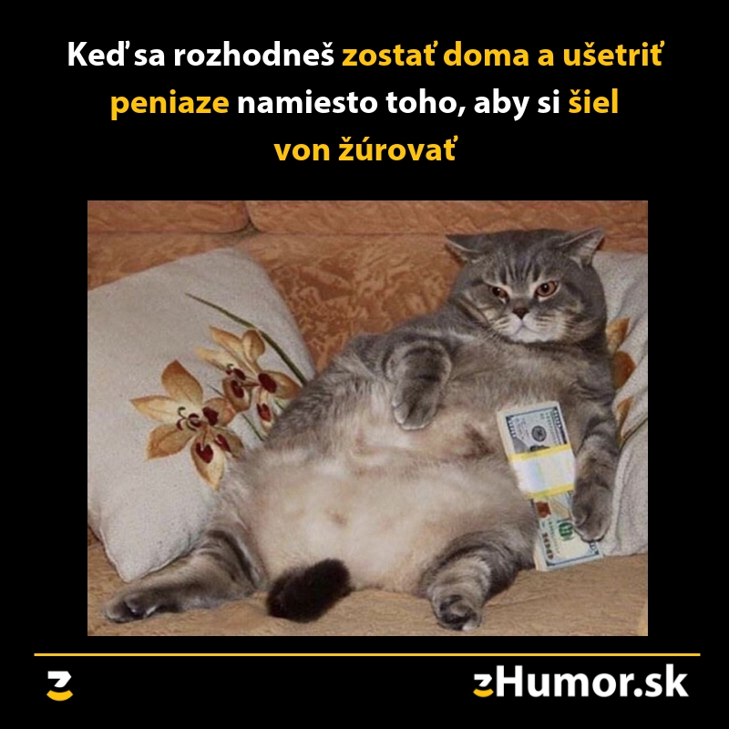 Starneš kamarát