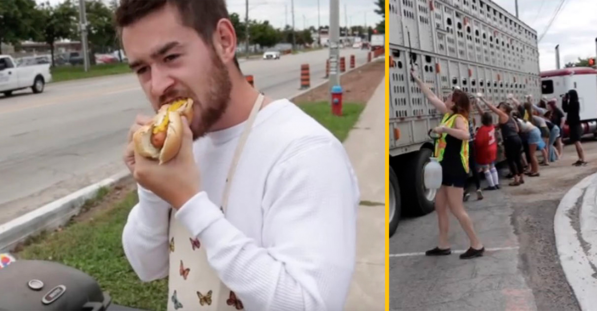 Muž griloval hot dogy hneď vedľa protestu za ochranu zvierat – VIDEO