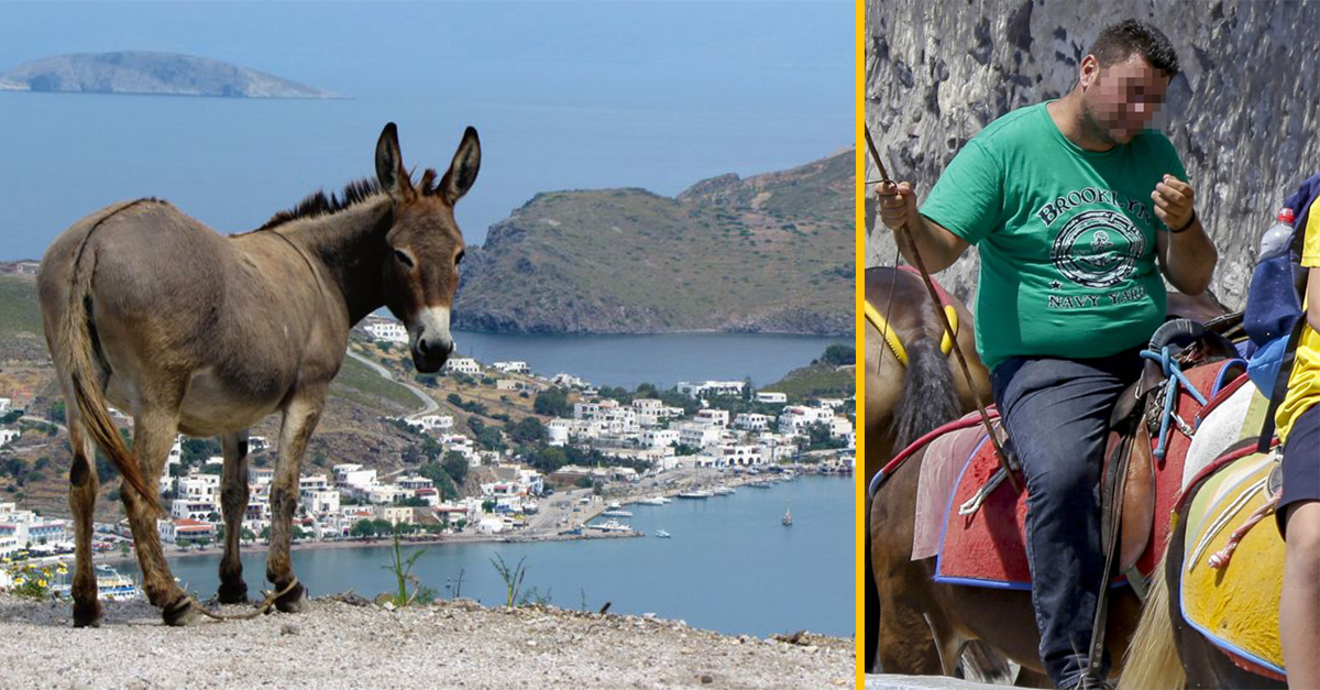 Grécko zakazuje obéznym turistom vozenie na somároch