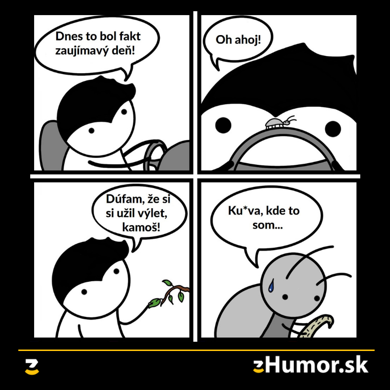 Kde si ma to zaviezol?!