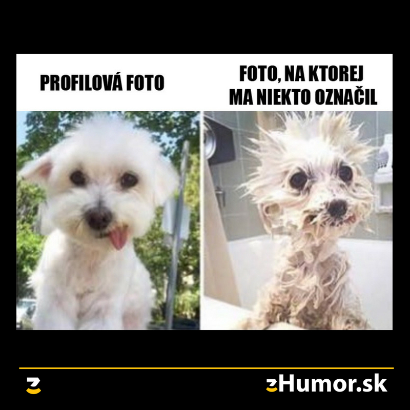To je rozdiel