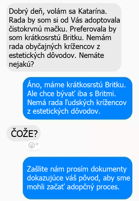 Najsarkastickejšia adopcia mačky