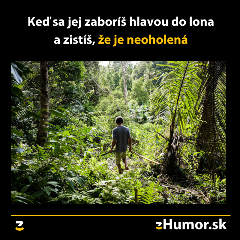 Vitajte v džungli