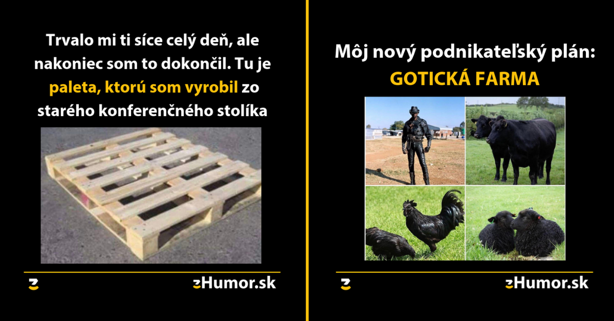 Zopár memečiek, ktoré vznikli aby ti spríjemnili dnešný deň #457