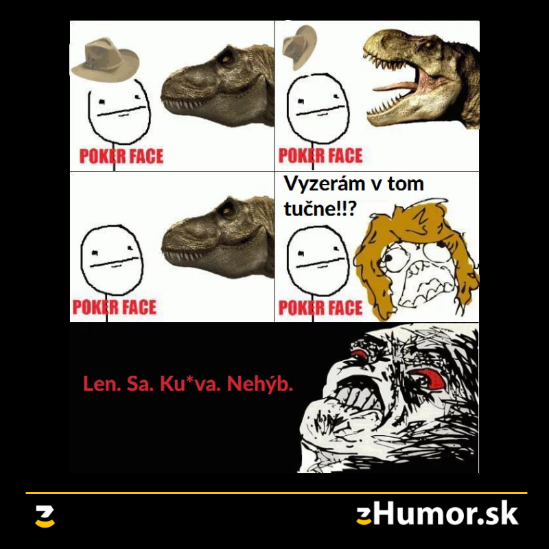 Radšej som ticho