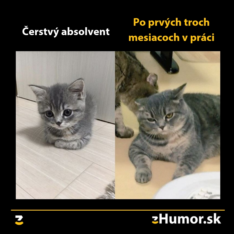 Práca ma ničí
