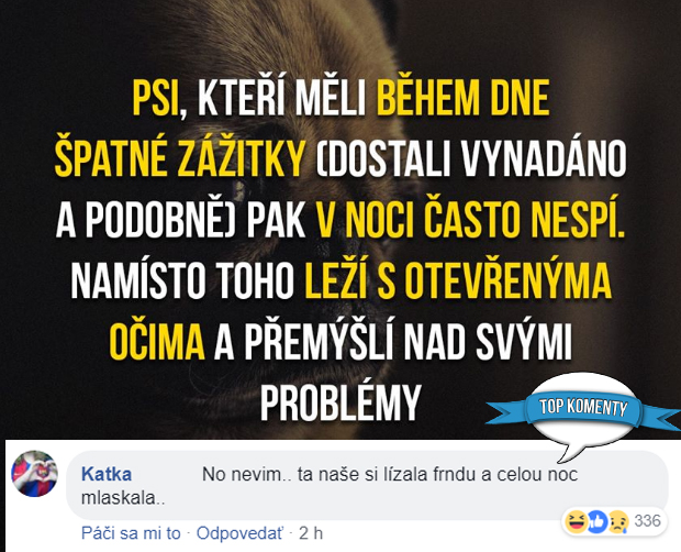 5 bonusových TOP komentov (č.6)