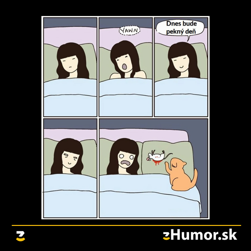 Tak asi nie no…