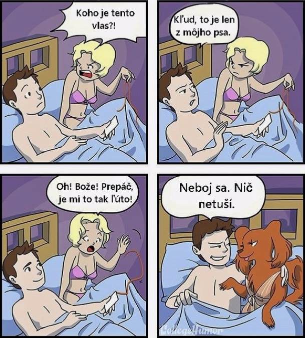 Koho je ten vlas?