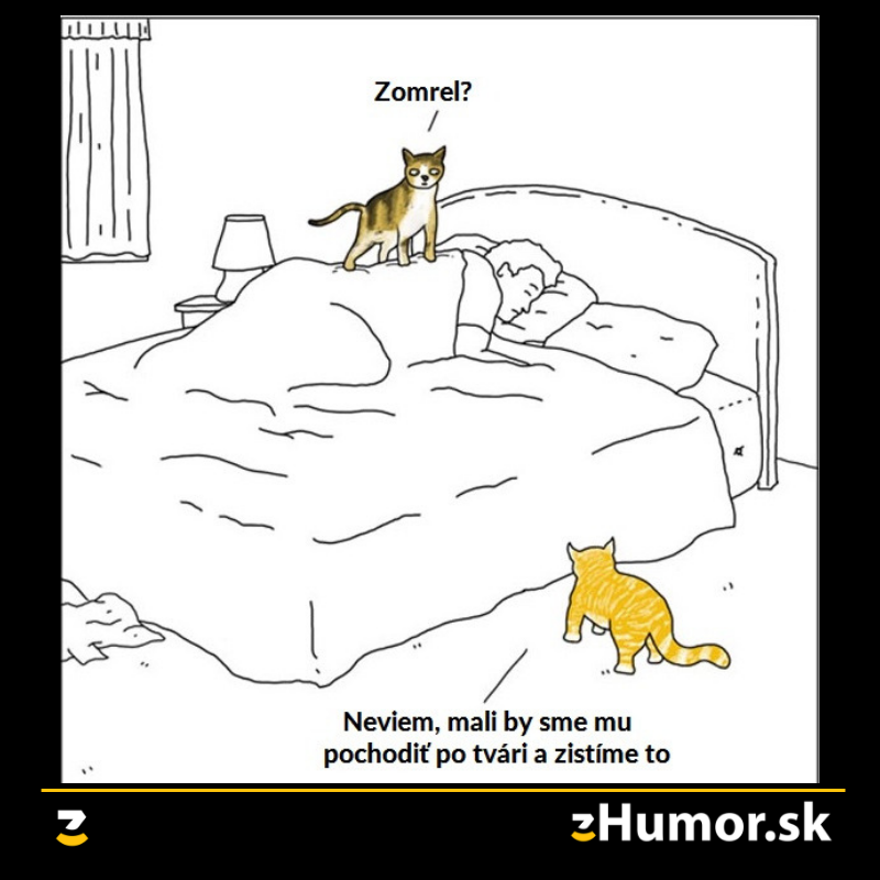 Vyskúšaj a uvidíš