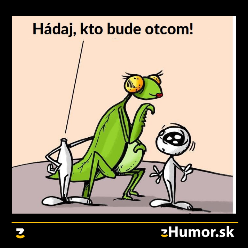 Hádaj, hádaj