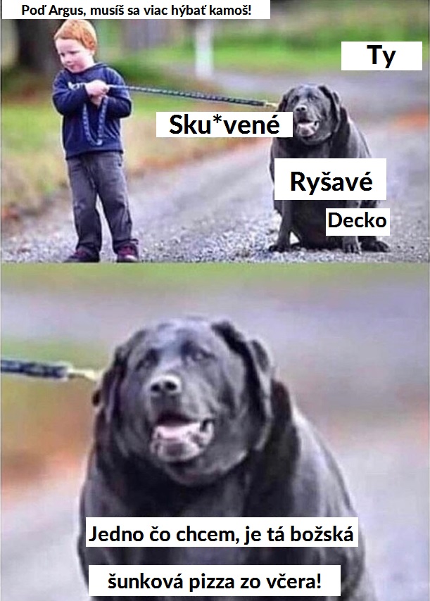 Aj psy majú svoje problémy, nemyslite si, že nie