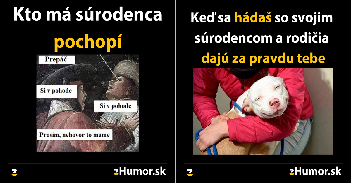 25+ memečiek o súrodencoch, ktoré pochopí každý, kto má brata alebo sestru