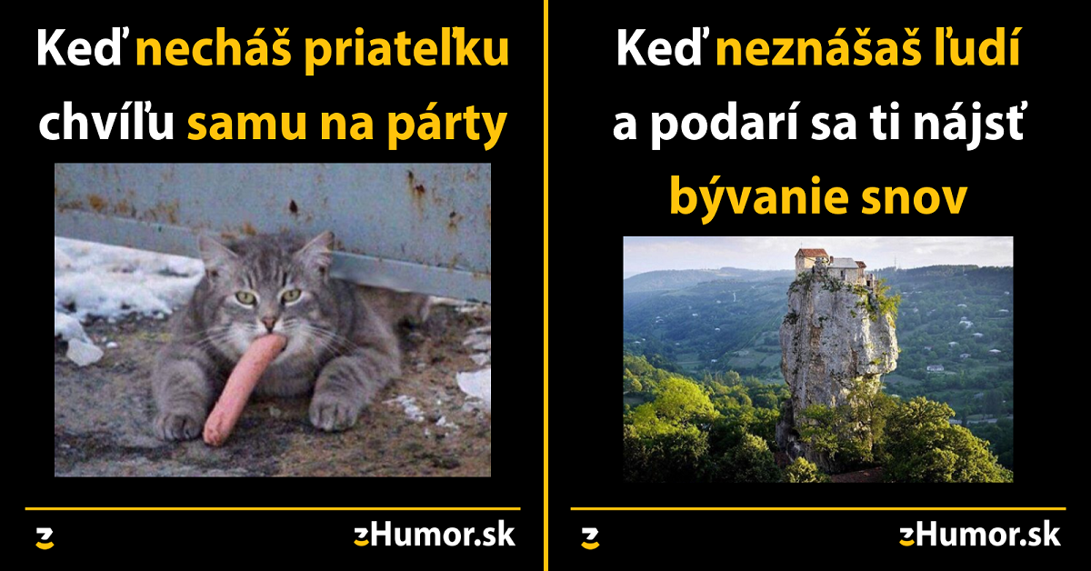 Zopár memečiek, ktoré vznikli aby ti spríjemnili dnešný deň #593