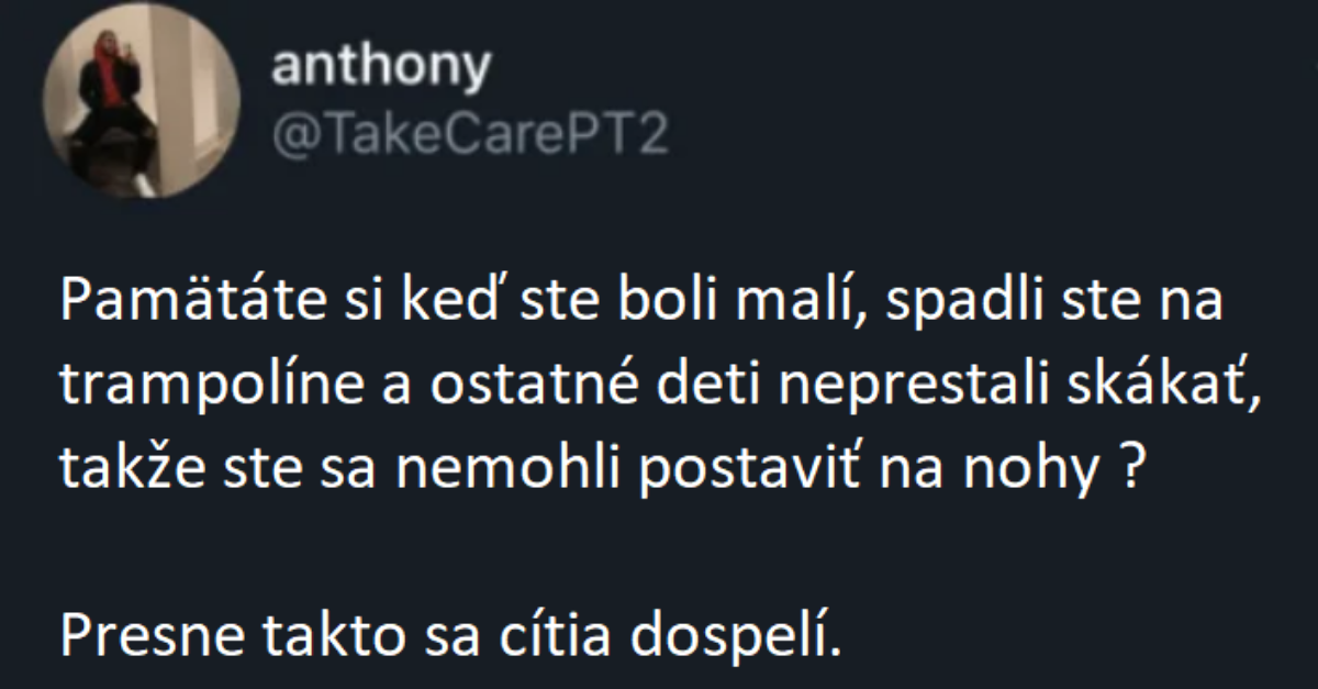 20 príspevkov ľudí, ktorí výstižne vysvetľujú o čom je život dospelých